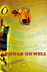 M'Arts Mots Culture M'Arts Mots Culture